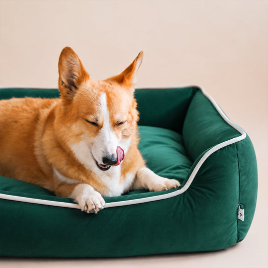 DreamRest Pet Bed-Green