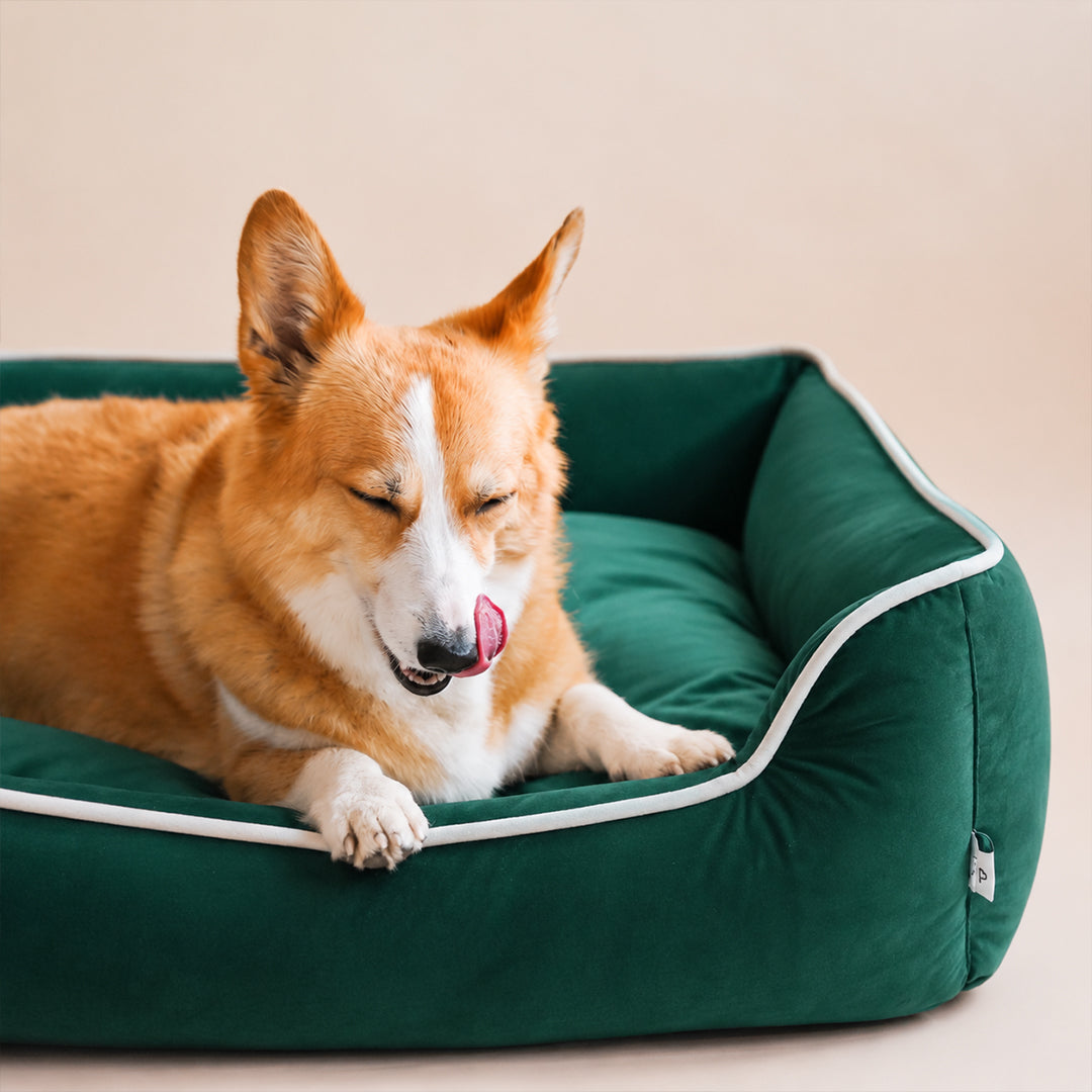 DreamRest Pet Bed-Green