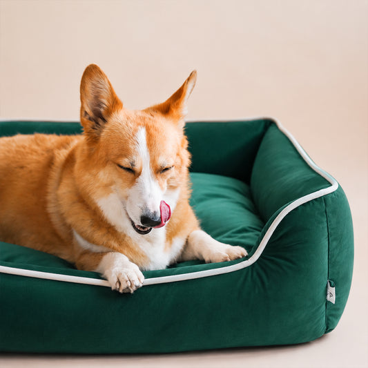 DreamRest Pet Bed-Green