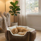 PAW LUXE