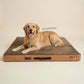 Orthopedic Dog Bed Memory Foam | Soft & Washable Pet Bed