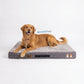 Memory Foam Orthopedic Dog Bed | Durable & Comfortable (Grey)