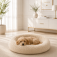 PAW CLOUD