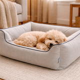 Dream Wags CloudNine Comfort Bed