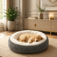 PAWS PARADISE