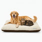Reversible Pet Bed Washable Velvet Bed With Soft Mattress For Dogs & Cats (Brown)