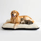 Reversible Pet Bed Washable Velvet Bed With Soft Mattress For Dogs & Cats (Cream)