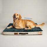 Orthopedic Pet Bed Memory Foam | Soft & Washable Pet Bed