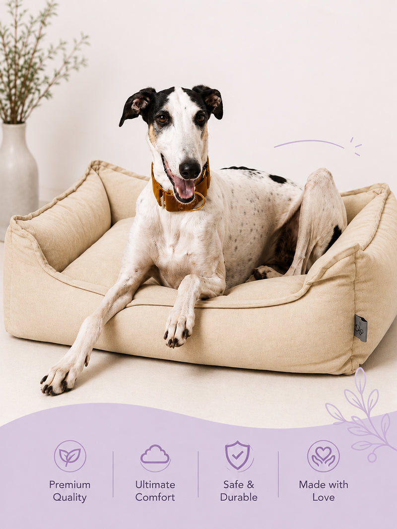 Pet Bed